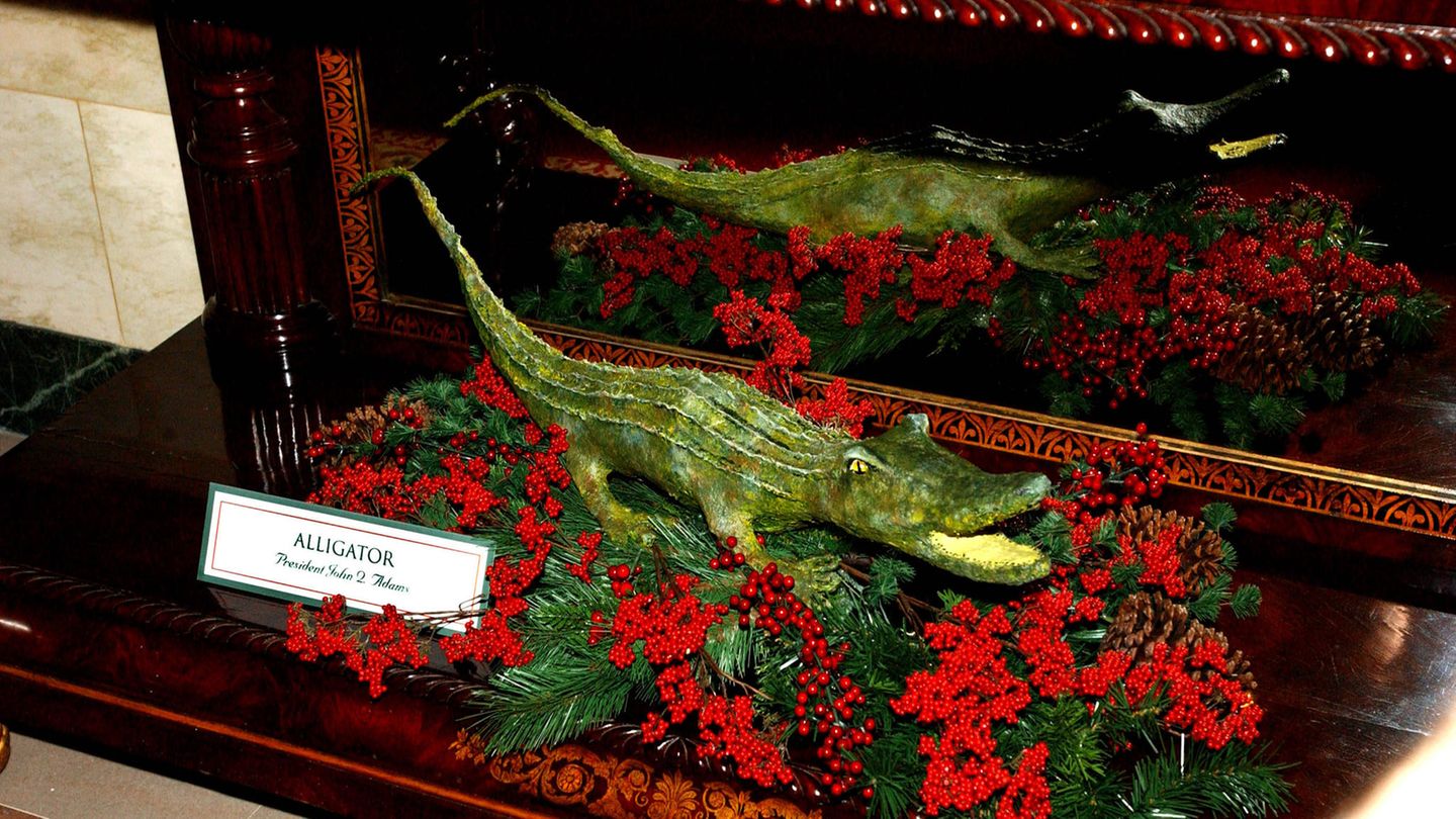 Ein Alligator aus Pappe in Erinnerung an John Quincy Adams
