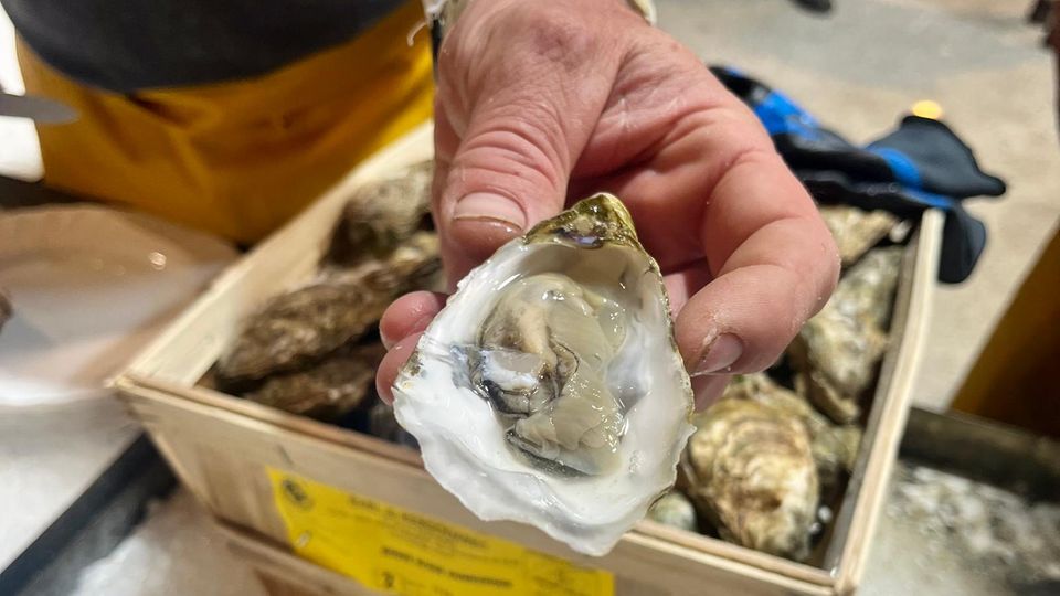 Austernfest Dünkirchen 2 Frisch aus dem Meer – und auch schon geöffnet