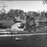 Präsident Franklin D. Roosevelt und ein Hund fahren Auto