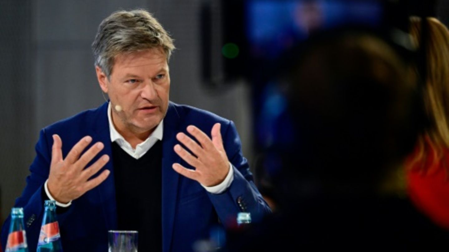 Habeck in einer Diskussion