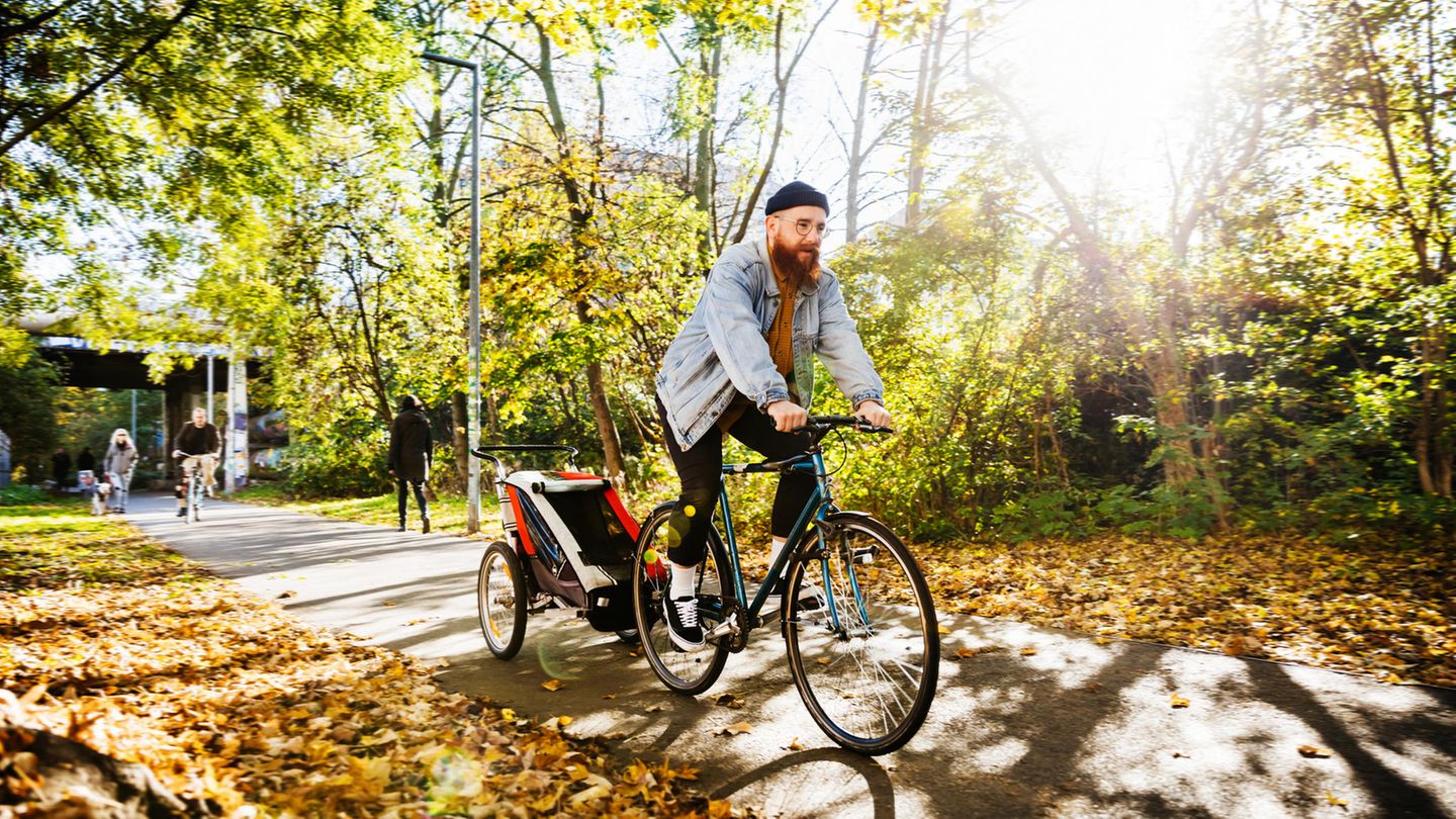 Bewegung stärkt die Immunabwehr