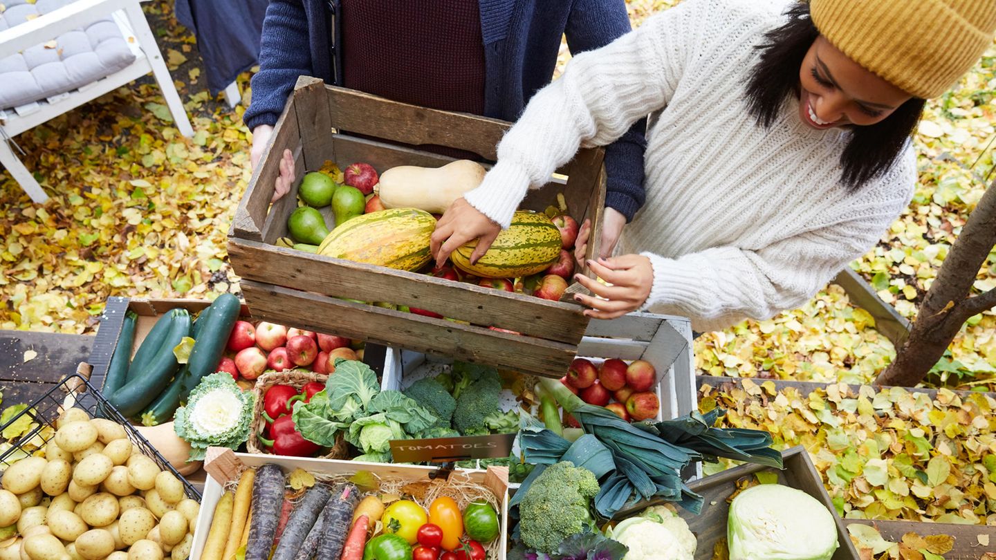 Immunsystem durch richtige Ernährung stärken