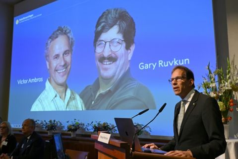 Nobel-Verkündung in Stockholm