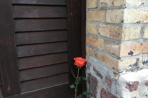 Anschlag in Halle: Eine Rose an der Tür der Synagoge als Zeichen der Trauer