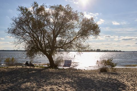 Schönes Wetter genießen zwei Spaziergänger auf einer Bank an der Elbe in Hamburg