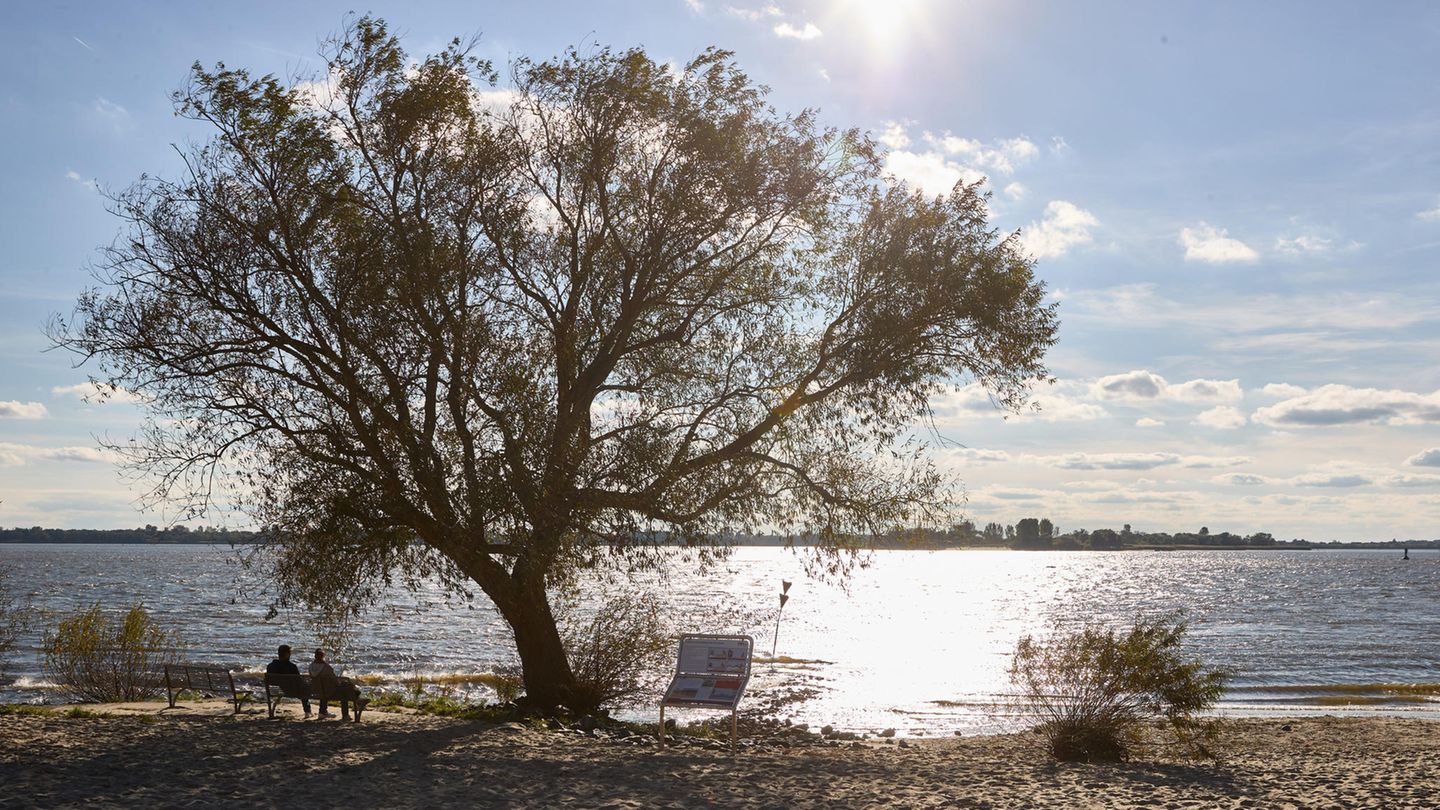 Vorhersage: Regen und Wind verdrängen die Sonne – so wird das Wetter am Dienstag