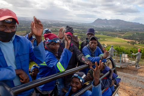 Arbeiter auf einem Weingut bei Kapstadt. In der Landwirtschaft von Südafrika schuften viele Migranten aus den Nachbarländern – oft unter menschenunwürdigen Bedingungen