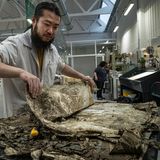 Ein Restaurator bereitet einen beschädigten Band für die Gefriertrockung vor