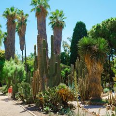 Jardí Botànic in Valencia