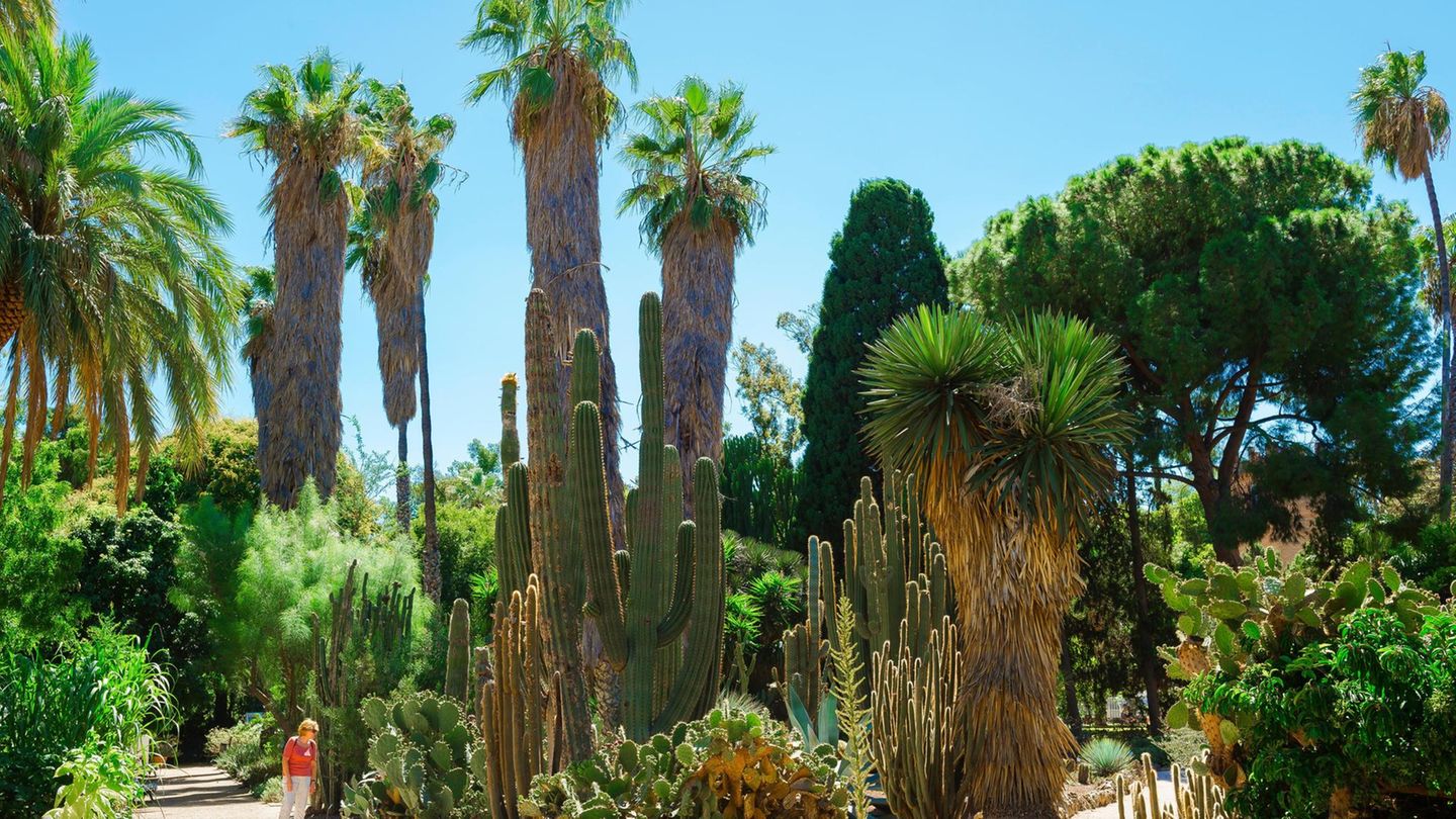 Jardí Botànic in Valencia Jardí Botànic in Valencia
