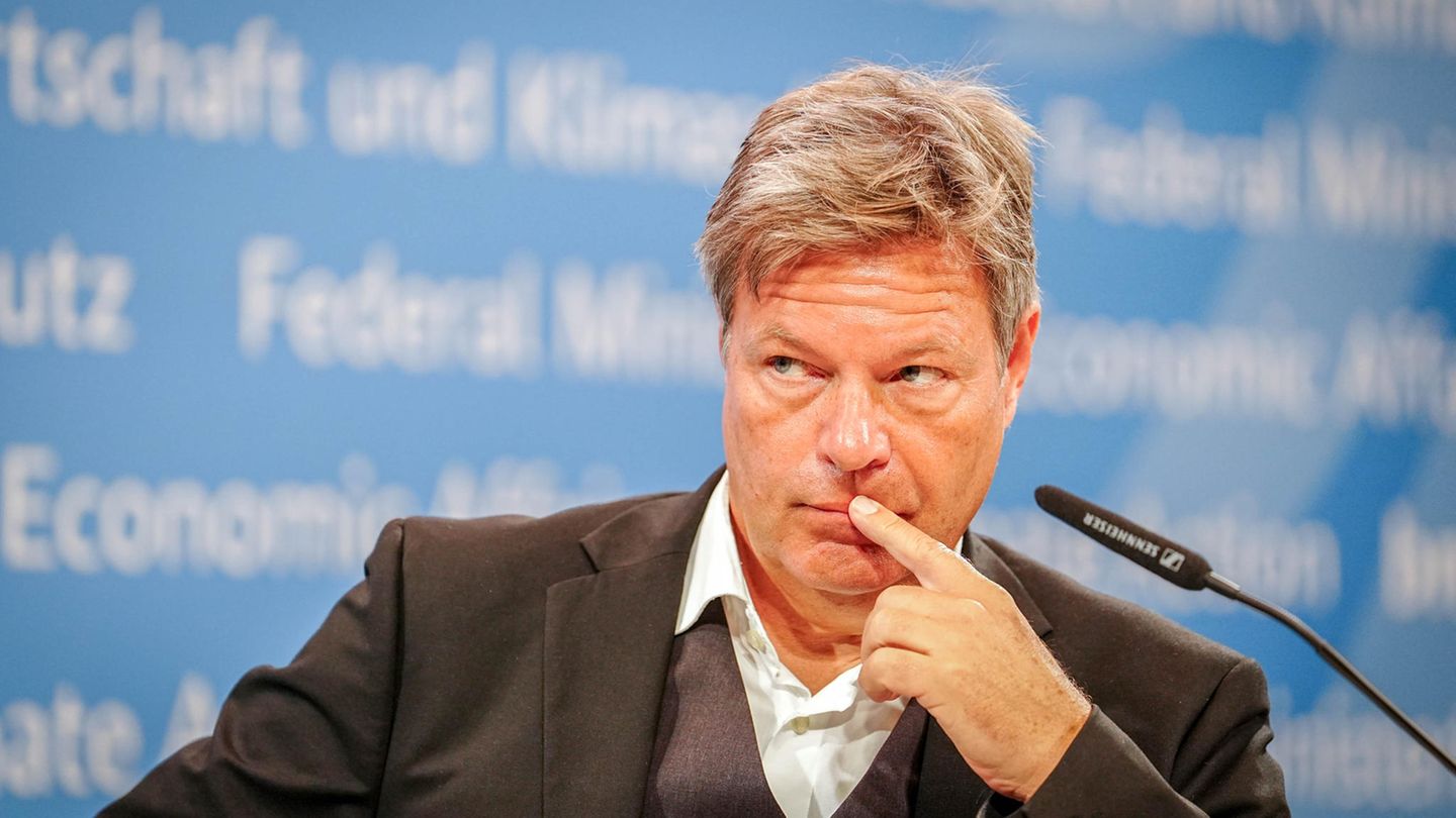 Bundeswirtschaftsminister Robert Habeck