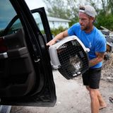 Ted Carlson packt in Holmes Beach die Katze McKenzie seines besten Freundes Evan Purcell in einen Pick-up-Truck, während die beiden sie zusammen mit anderen wichtigen Gegenständen aus Purcells Haus holen, bevor der Hurrikan Milton eintrifft