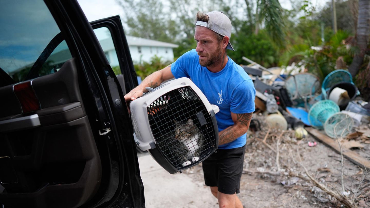 Ted Carlson packt in Holmes Beach die Katze McKenzie seines besten Freundes Evan Purcell in einen Pick-up-Truck, während die beiden sie zusammen mit anderen wichtigen Gegenständen aus Purcells Haus holen, bevor der Hurrikan Milton eintrifft