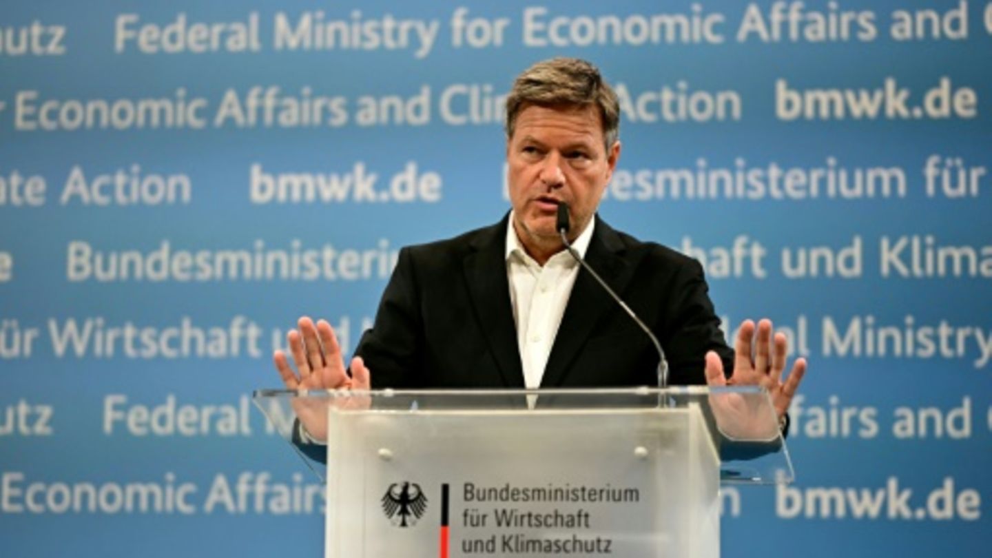 Wirtschaftsminister Habeck