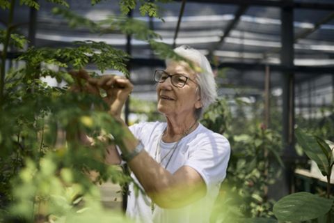 UNHCR-Preisträgerin Rosita Milesi