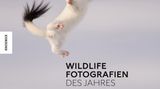 "Wildlife Fotografien des Jahres – Portfolio 34", 160 Seiten, Knesebeck Verlag 2024, 38 Euro