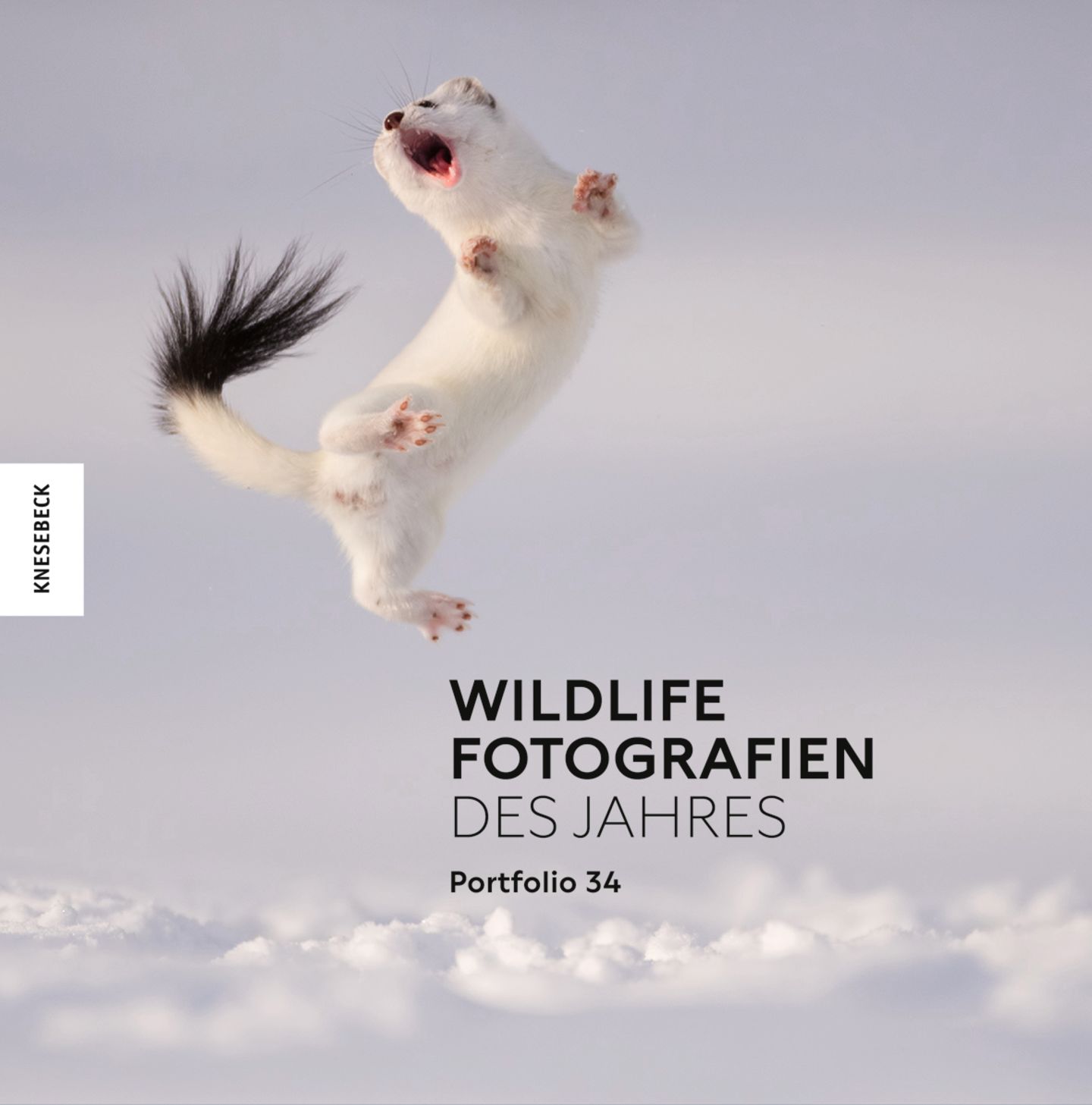 "Wildlife Fotografien des Jahres – Portfolio 34", 160 Seiten, Knesebeck Verlag 2024, 38 Euro