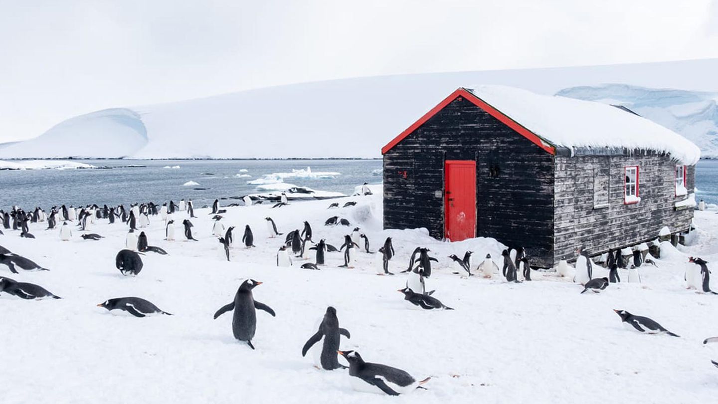 Because under Pinguinen is one of the huts, which is at the Station Port Lockroy in the Antarktis-gibt