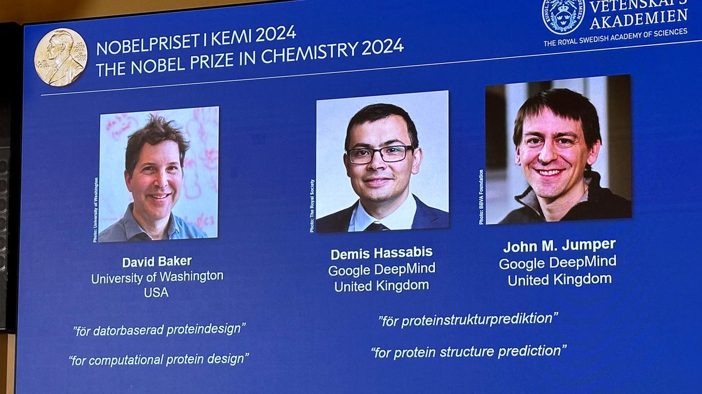 David Baker (l-r), Demis Hassabis, und John M. Jumper teieln sich den Chemie-Nobelpreis