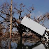 Hurrikan Katrina LKW im Baum