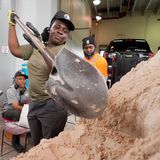 Annarose Bellefleur, Mitarbeiterin des öffentlichen Dienstes in North Miami Beach, Florida, schaufelt Sand. Anschließend werden die befüllten Sandsäcke an Bewohner verteilt