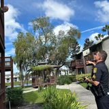 Dimitri Angelakopoulos, Detective Sergeant der Polizei von Tampa, spricht mit einem Mann in den River Place Apartments in Tampa und fordert ihn auf, das Haus vor dem Eintreffen des Hurrikans "Milton" zu verlassen