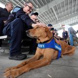 Rettungsteams machen sich für den Einsatz bei Hurrikan "Milton" bereit – da hat auch Suchhund Saturn, 5, schon einmal eine Streicheleinheit verdient