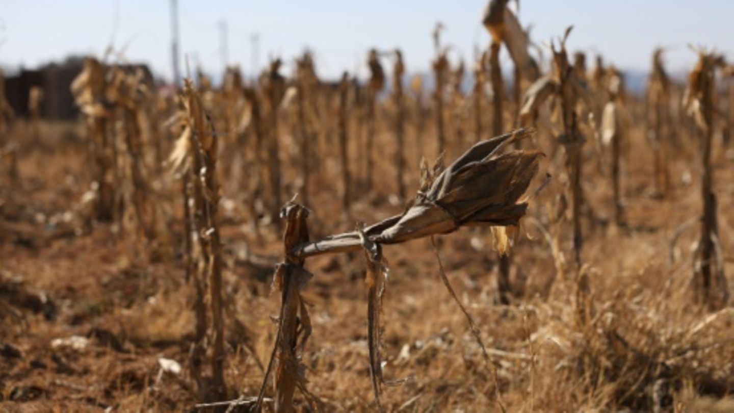 Welthungerhilfe: Aussichten für Überwindung von Hunger "immer düsterer"