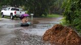 Hurrikan "Milton" trifft auf Florida