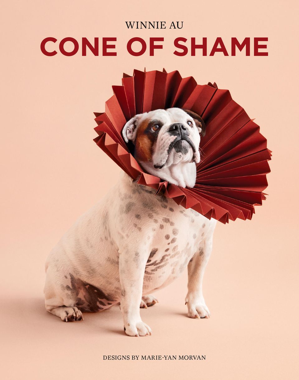 Bildband von Hunden mit Schutzkragen: Cone of Shame Bildband von Hunden mit Schutzkragen: Cone of Shame
