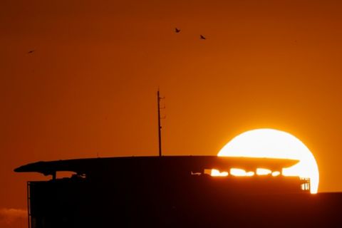 Vögel am Berliner Himmel