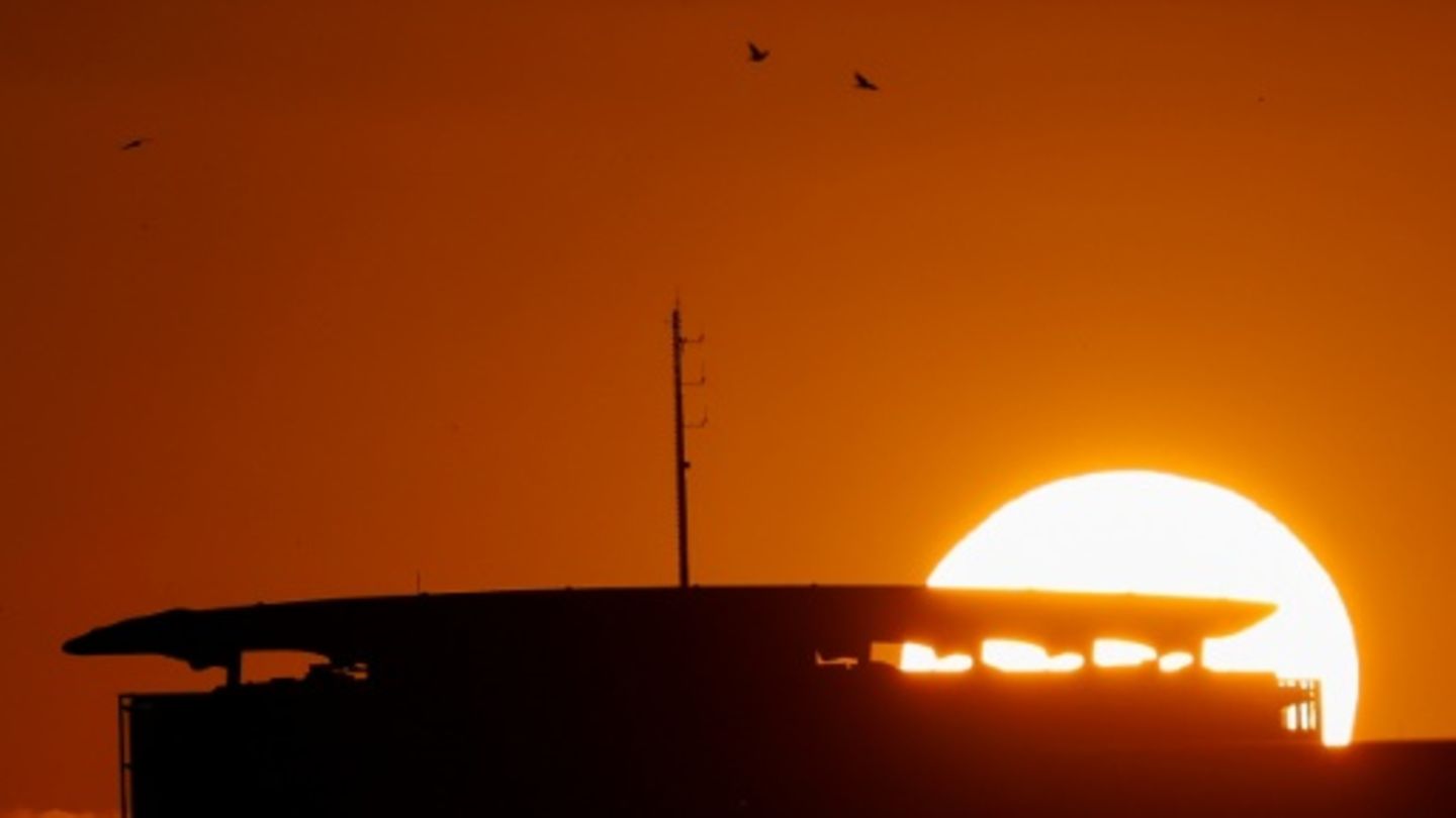 Vögel am Berliner Himmel