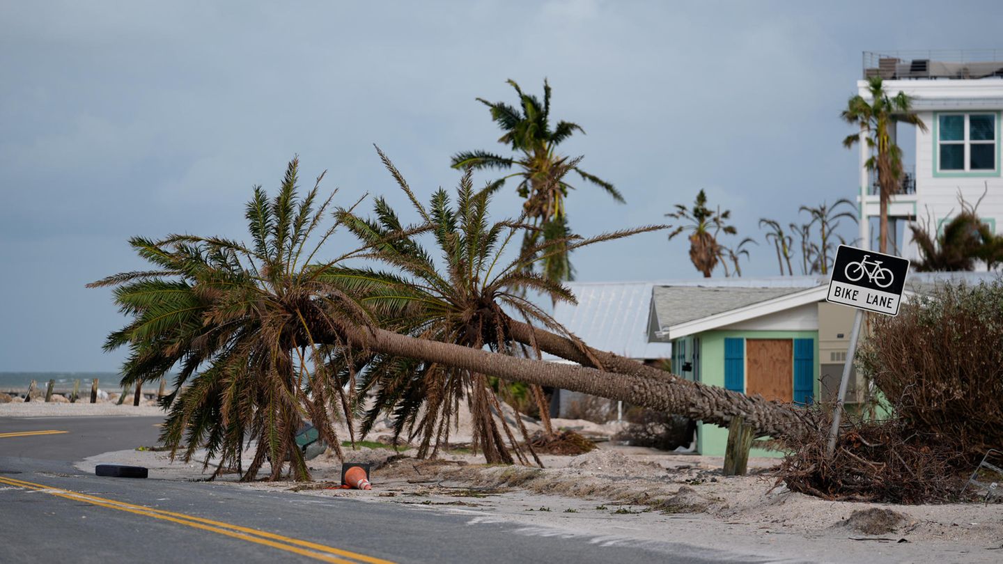 Umgestürzte Palmen liegen nach dem Durchzug des Hurrikans "Milton" in Bradenton Beach auf Anna Maria Island