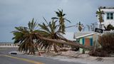 Umgestürzte Palmen liegen nach dem Durchzug des Hurrikans "Milton" in Bradenton Beach auf Anna Maria Island