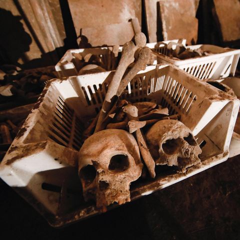 Archäologie: Funde von menschlichen Schädel