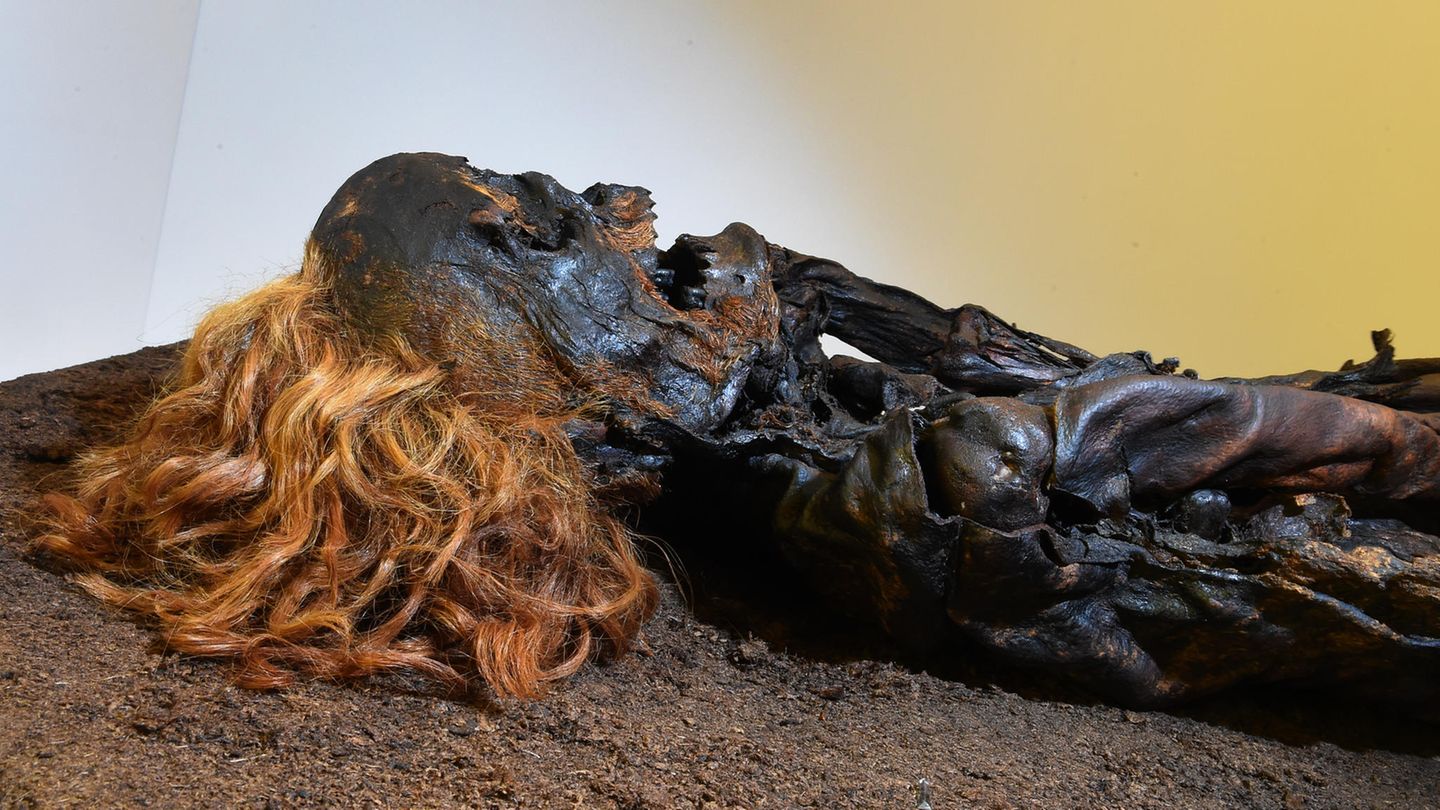 Die Moorleiche "Roter Franz" liegt auf erdigem Untergrund, die roten, lockigen Haare sind deutlich zu sehen Die Moorleiche "Roter Franz" liegt auf erdigem Untergrund, die roten, lockigen Haare sind deutlich zu sehen