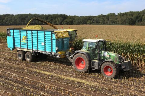 Ein Fendt 820 Vario zieht bei der Maisernte einen Anhänger