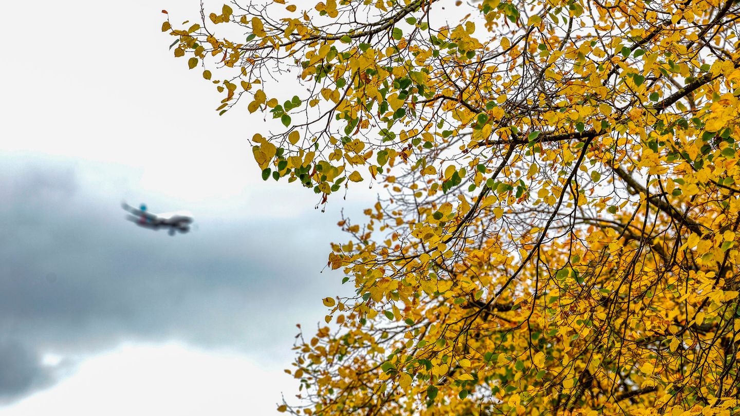 Wettervorhersage für Montag