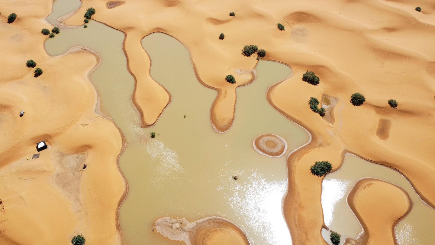 Heftigste Regenfälle: Gebiete in der Sahara stehen unter Wasser