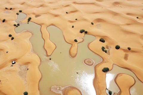Heftigste Regenfälle seit Jahrzehnten: Gebiete in der Sahara stehen unter Wasser