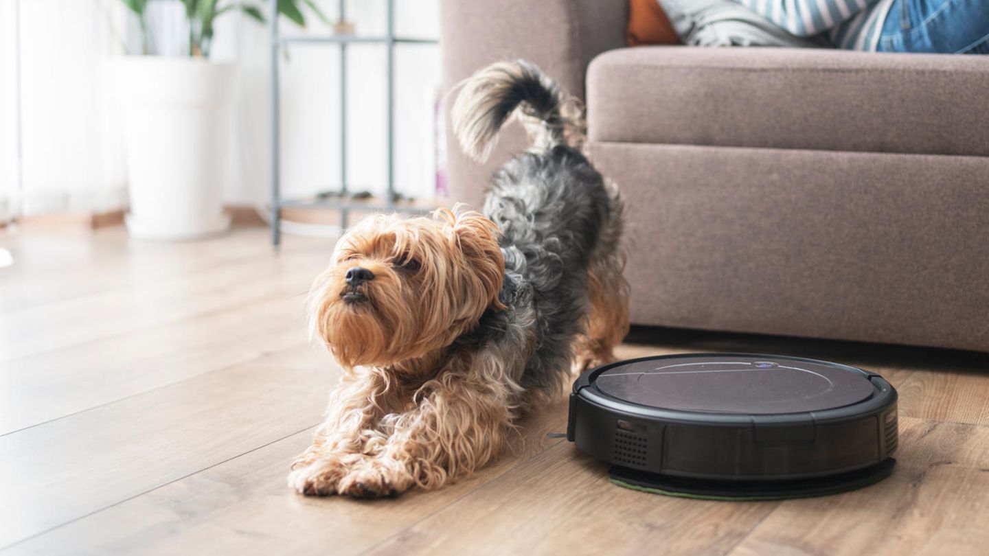 Deals des Tages Saugroboter Eine Frau liegt auf der Couch, während ein Saugroboter seinen Dienst verrichtet.