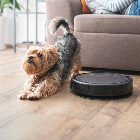 Eine Frau liegt auf der Couch, während ein Saugroboter seinen Dienst verrichtet.