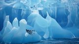 Pinguine stehen auf großen Gletschern wie kleine schwarze Punkte