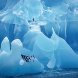 Pinguine stehen auf großen Gletschern wie kleine schwarze Punkte