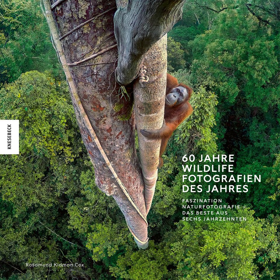 Die schönsten Tierfotos aus 60 Jahren zeigt der Bildband "60 Jahre Wildlife – Fotografien des Jahres".