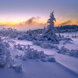Schneebedeckter Bergrücken der Hornisgrinde