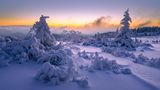 Schneebedeckter Bergrücken der Hornisgrinde