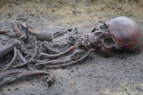 Ein Skelett aus der Zeit der Wikinger liegt in der Erde