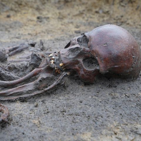 Ein Skelett aus der Zeit der Wikinger liegt in der Erde