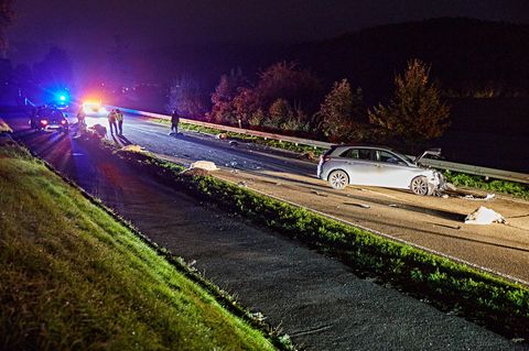 Unfall mit Schafherde in Baden-Württemberg